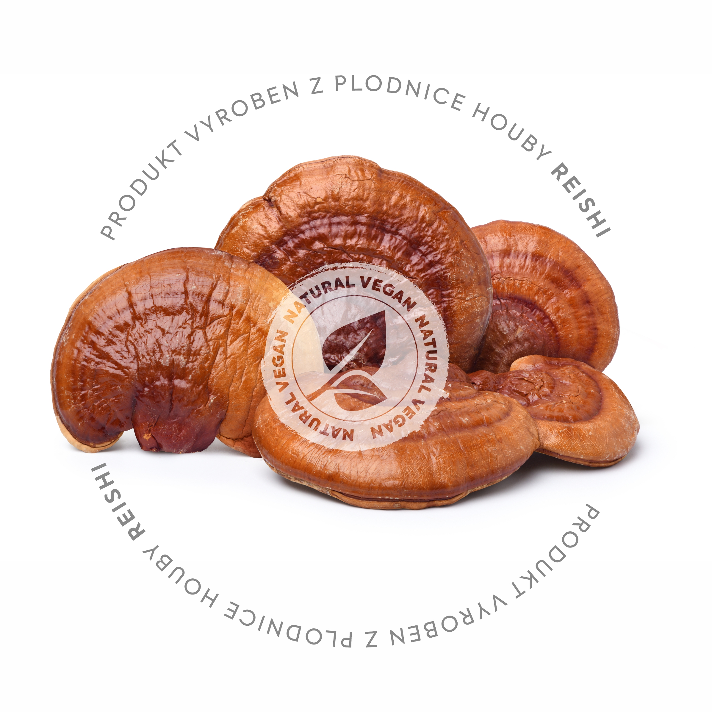 REISHI BIO KRYO PRÁŠEK 60 KAPSLÍ 360 MG